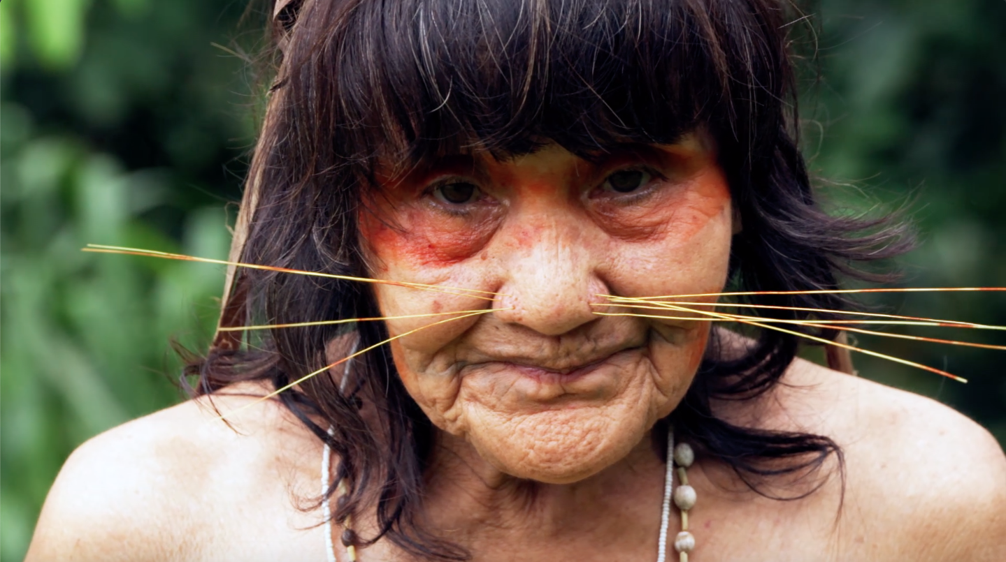 إحدى نساء الماتسيس تضع عيدان على أنفها، وذلك تشبها بحيوان الجاغوا 
